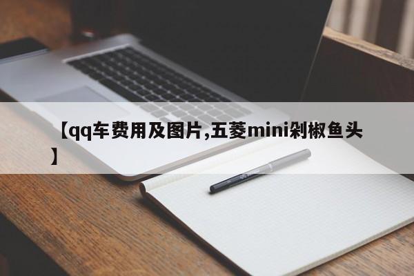 【qq车费用及图片,五菱mini剁椒鱼头】