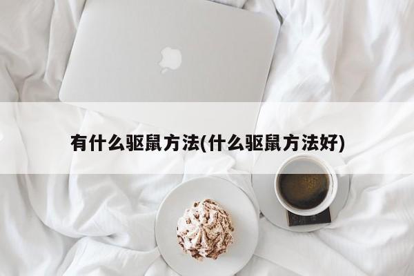 有什么驱鼠方法(什么驱鼠方法好)